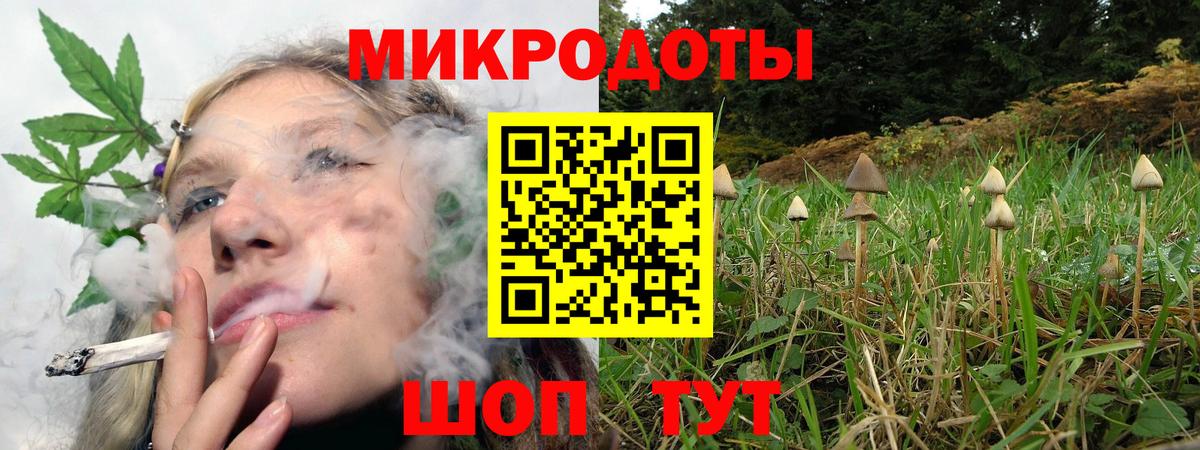 Псилоцибиновые грибы Psilocybine cubensis  Вход с VPN  Галлюциногенные грибы прущие грибы  Жигулёвск 